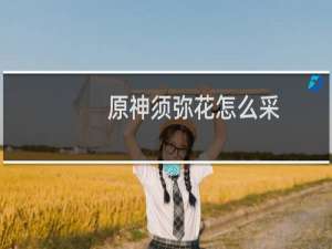 原神须弥花怎么采