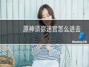 原神须弥迷宫怎么进去