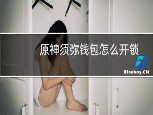 原神须弥钱包怎么开锁