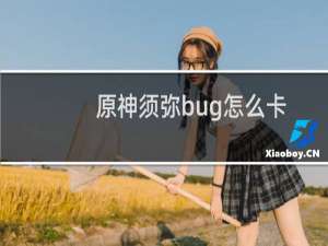 原神须弥bug怎么卡