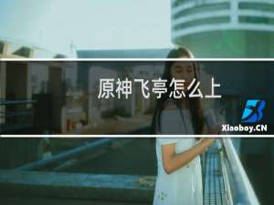 原神飞亭怎么上