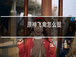 原神飞禽怎么捉