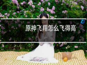原神飞翔怎么飞得高
