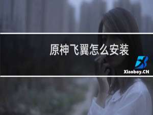 原神飞翼怎么安装