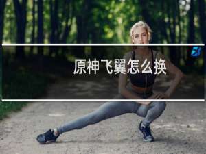 原神飞翼怎么换