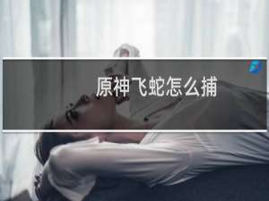 原神飞蛇怎么捕
