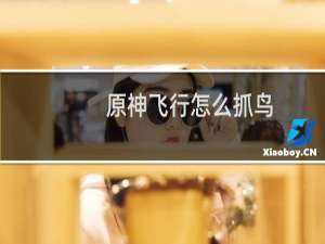 原神飞行怎么抓鸟