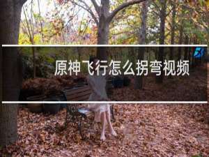 原神飞行怎么拐弯视频