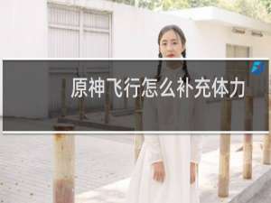 原神飞行怎么补充体力