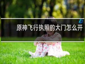 原神飞行执照的大门怎么开