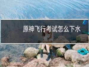 原神飞行考试怎么下水