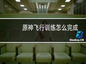 原神飞行训练怎么完成
