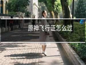 原神飞行证怎么过