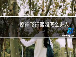 原神飞行驾照怎么进入