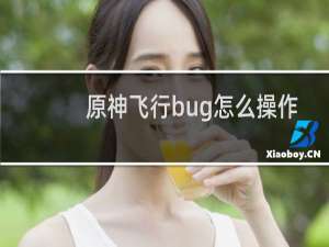 原神飞行bug怎么操作