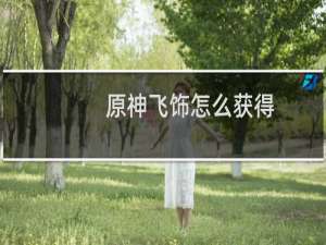 原神飞饰怎么获得