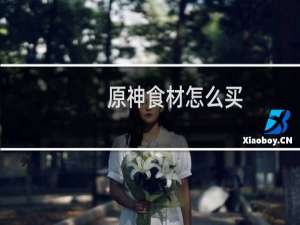 原神食材怎么买