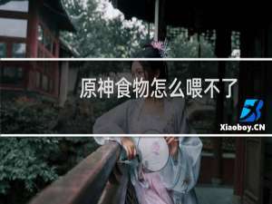 原神食物怎么喂不了