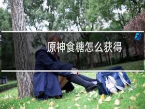 原神食糖怎么获得