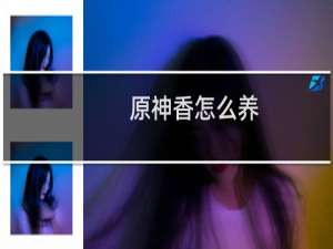 原神香怎么养