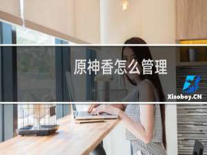 原神香怎么管理