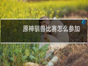 原神驯兽比赛怎么参加
