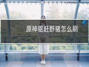 原神驱赶野猪怎么刷