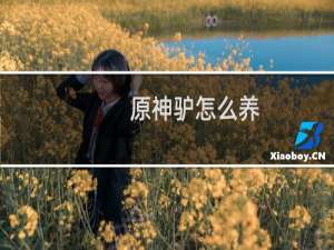 原神驴怎么养