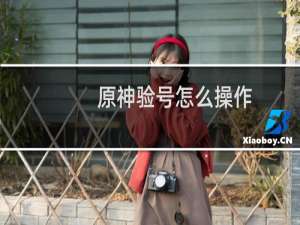 原神验号怎么操作