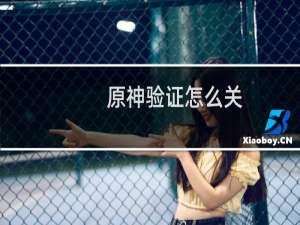 原神验证怎么关