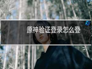 原神验证登录怎么登