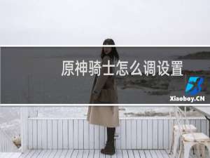 原神骑士怎么调设置