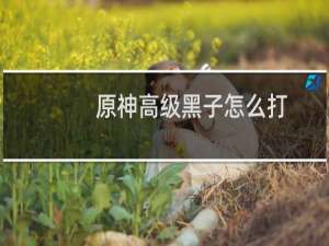 原神高级黑子怎么打