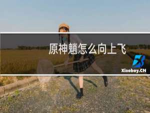 原神魈怎么向上飞