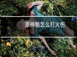 原神魈怎么打火伤