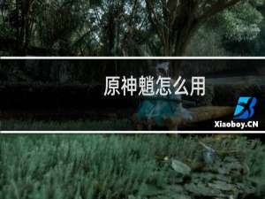 原神魈怎么用