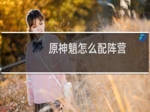 原神魈怎么配阵营
