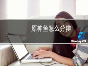 原神鱼怎么分辨