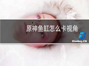 原神鱼缸怎么卡视角