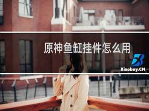 原神鱼缸挂件怎么用
