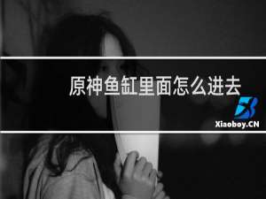 原神鱼缸里面怎么进去