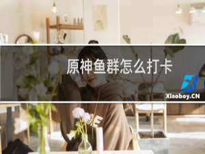 原神鱼群怎么打卡