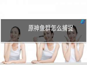原神鱼群怎么捕捉