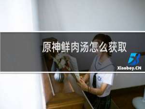 原神鲜肉汤怎么获取
