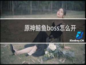 原神鲸鱼boss怎么开