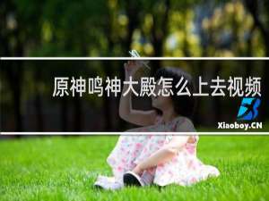 原神鸣神大殿怎么上去视频