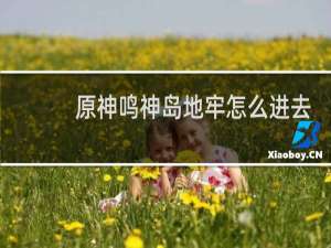 原神鸣神岛地牢怎么进去