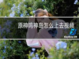 原神鸣神岛怎么上去视频