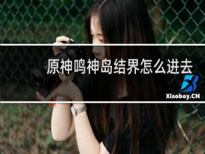 原神鸣神岛结界怎么进去