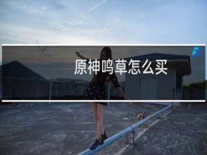 原神鸣草怎么买